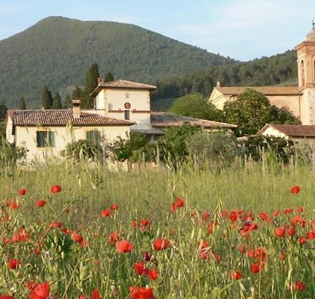 La Palombaia Guest House Spoleto Bagian luar foto