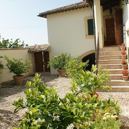 La Palombaia Guest House Spoleto Bagian luar foto