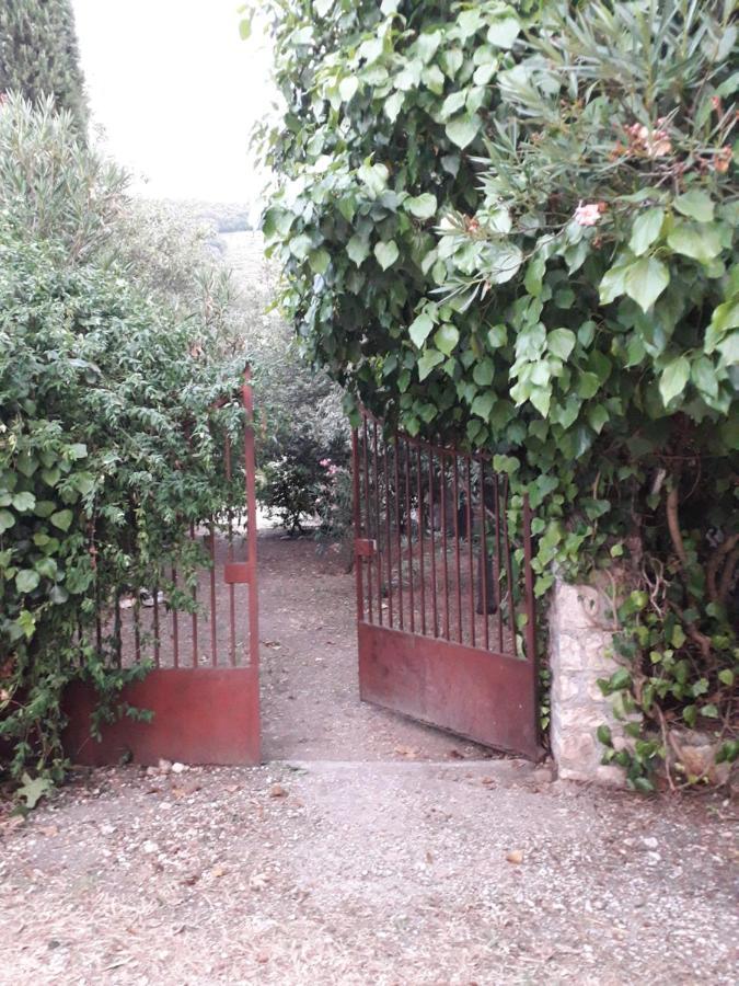 La Palombaia Guest House Spoleto Bagian luar foto