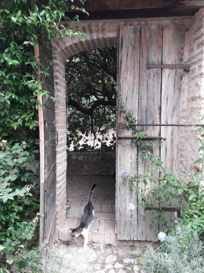La Palombaia Guest House Spoleto Bagian luar foto