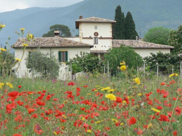 La Palombaia Guest House Spoleto Bagian luar foto