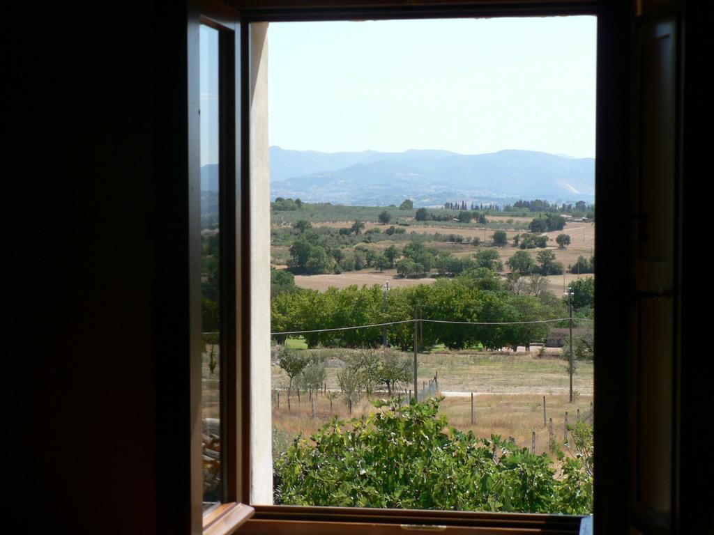 La Palombaia Guest House Spoleto Bagian luar foto